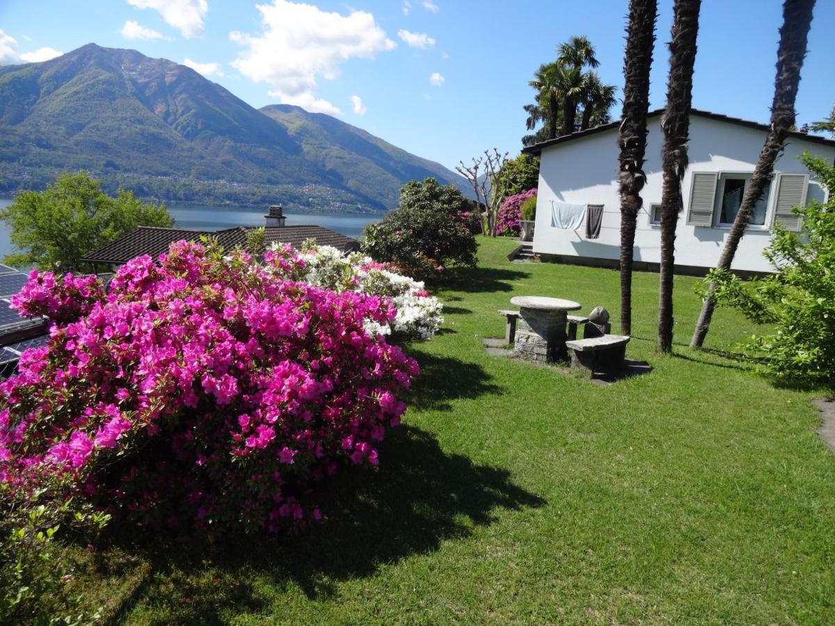 Residenza Paradiso Di Vacanze Minusio Exterior foto
